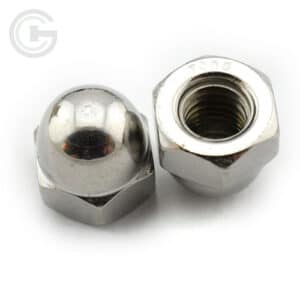 Stainless Steel Acorn Nuts Manufacturer